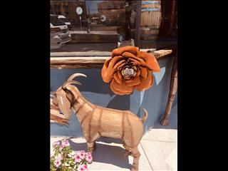 Those goats are always after your flowers . Animal art .,