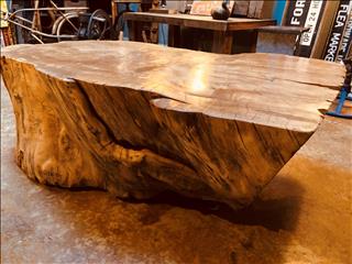 Petrified cotton wood tree trunk table - 1200 .00 