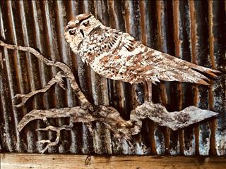Giant owl- wall art 