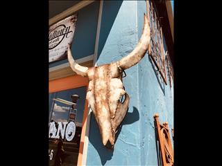 Skulls, oh yeah, we have skulls. Usually, their not of the scary variety. These cow head skull are g(..)