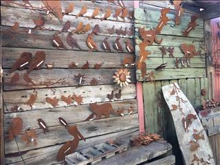 Lots of metal birds. Every summer these birds migrate from Oregon to Reno. Love these on fences and (..)