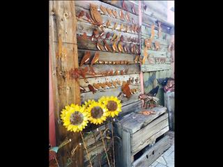 Lots Of Affordable Garden Art, And Always Flowers , Flowers in The Spring. These Big Sunflowers Run (..)
