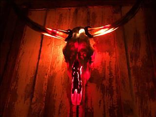 The original cowhead lamp by Micano’s. 