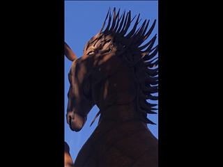 Stallion 