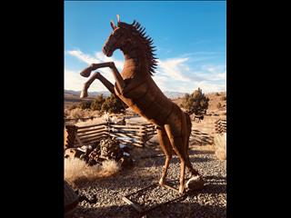 Horse sculpture , metal sculpture , wildlife s sculpture 