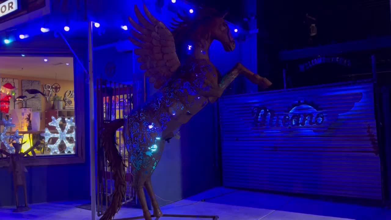 Nevada Blue Pegasus  4