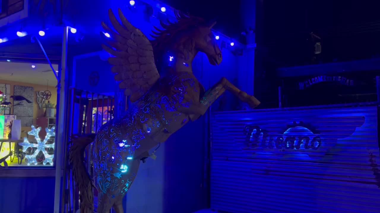 Nevada Blue Pegasus  3