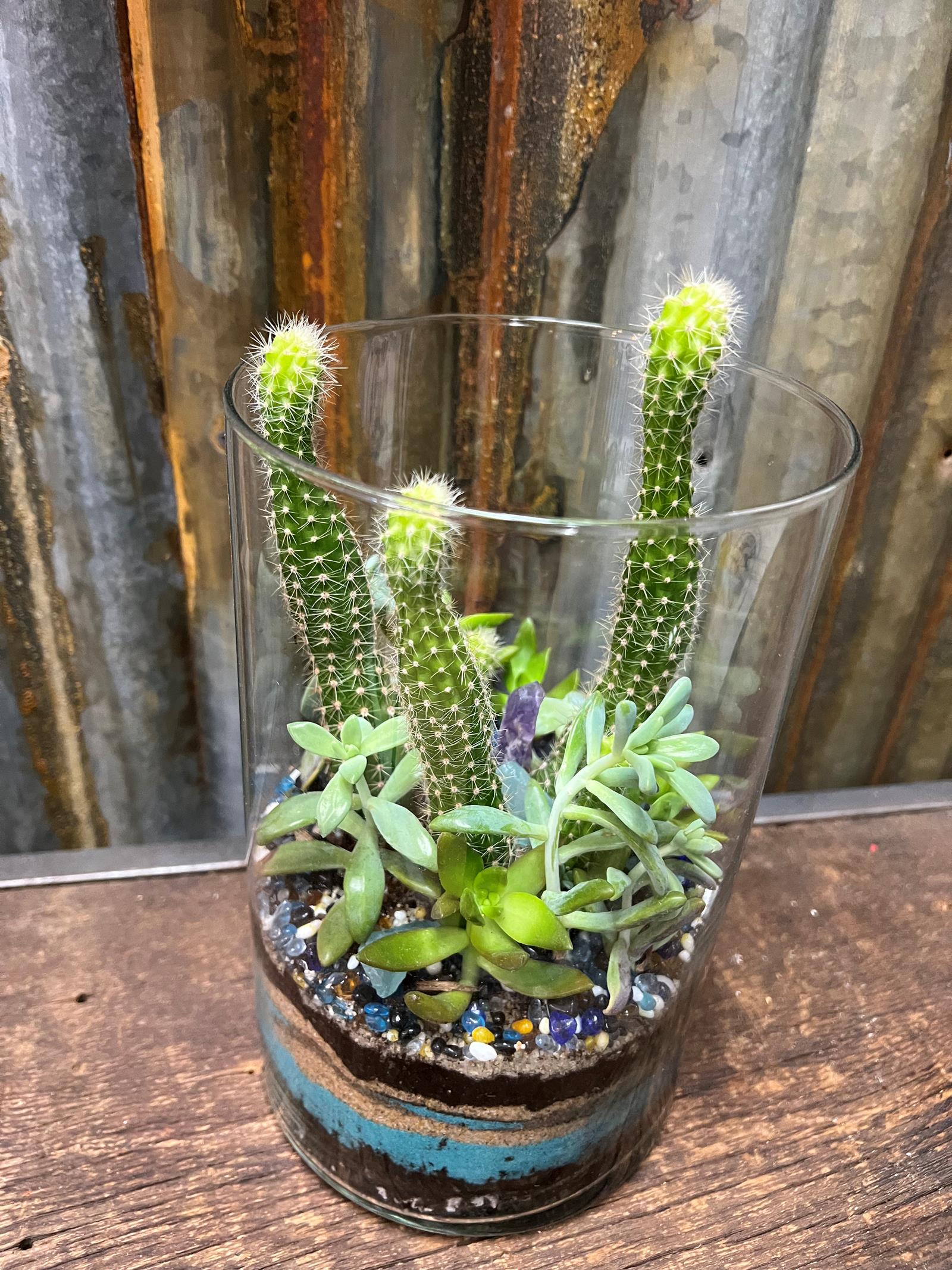 Cactus tropical w purple Chrystal succulent w blue stones  0