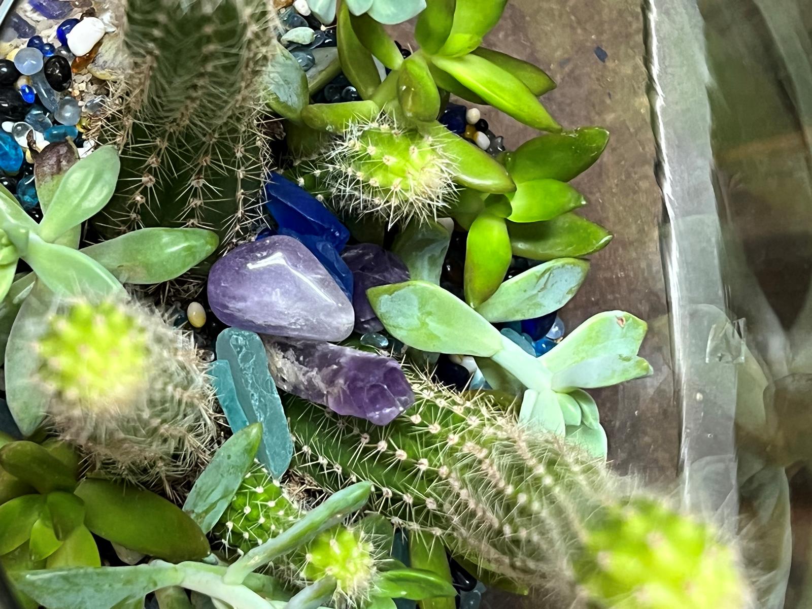 Cactus tropical w purple Chrystal succulent w blue stones  3