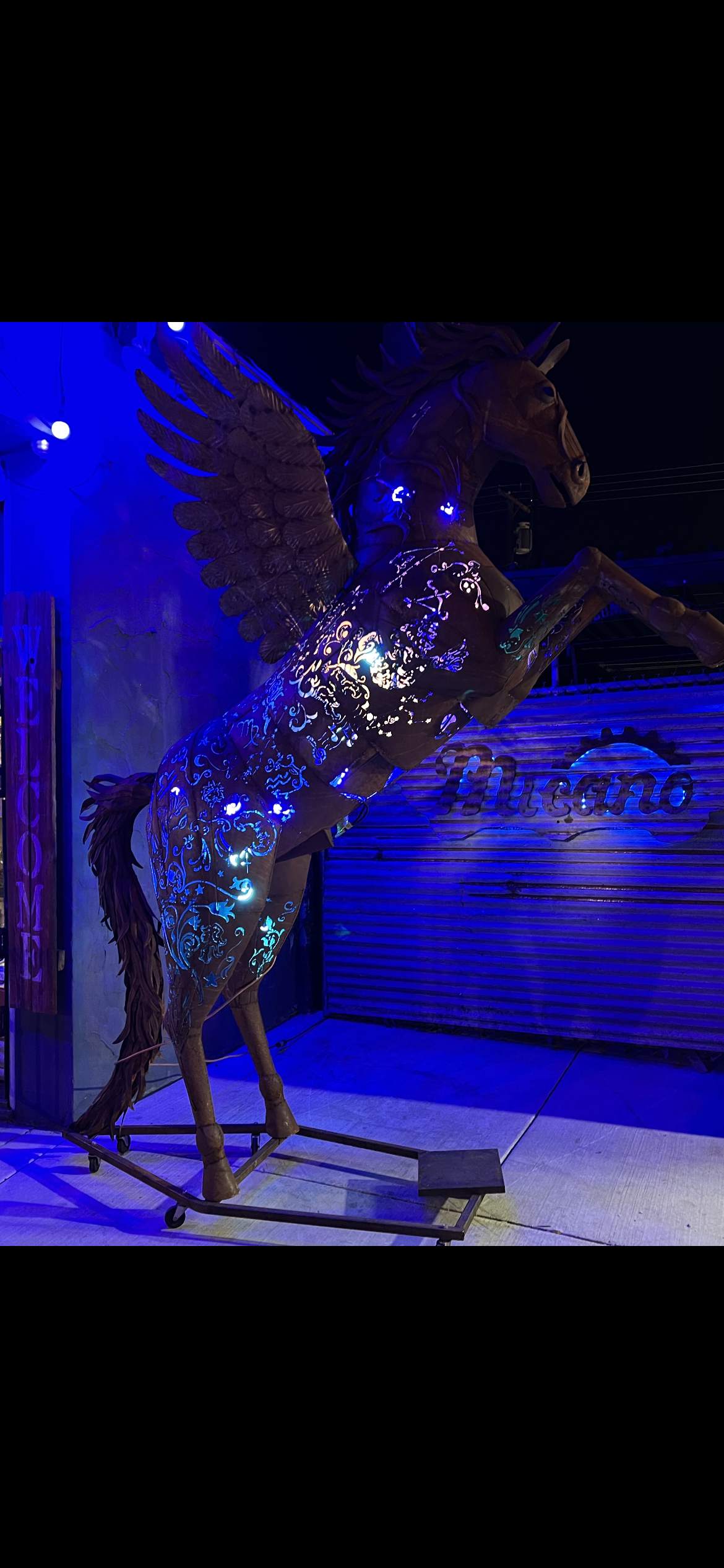Blue Pegasus  0