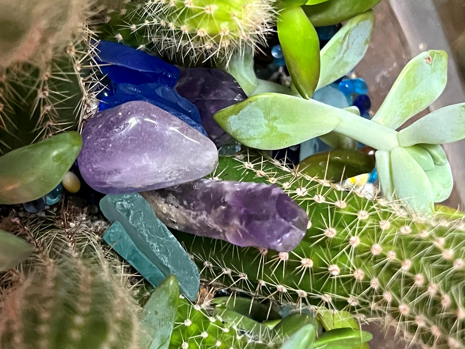 Cactus tropical w purple Chrystal succulent w blue stones  1